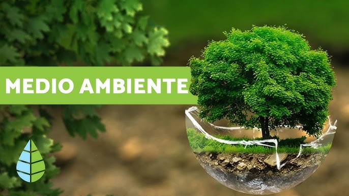 Medio Ambiente