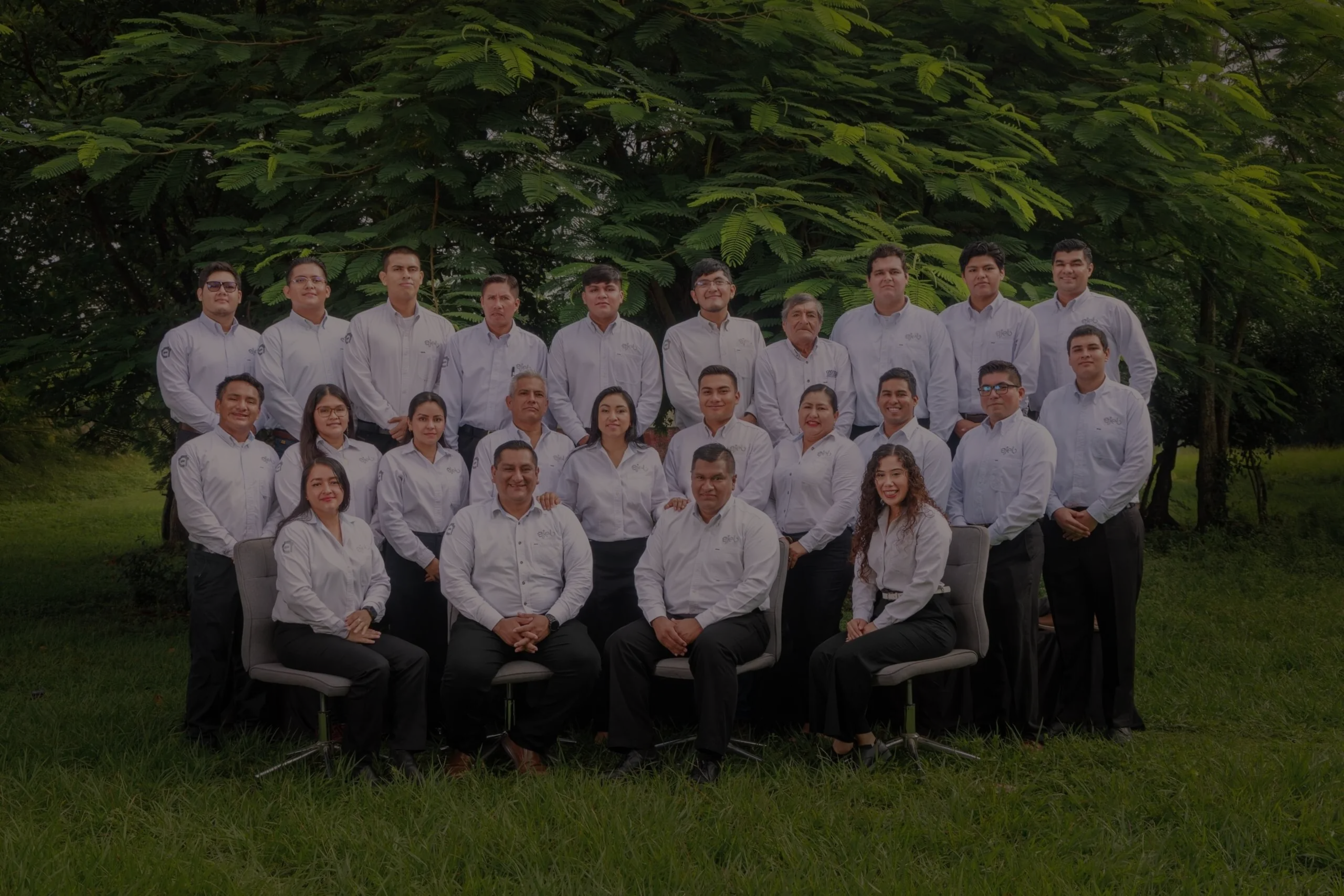 Imagen de nuestro equipo talentoso
